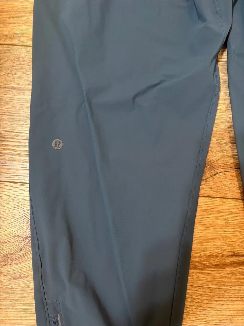 Lululemon Surge Jogger L